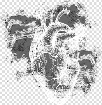 Heart Euclidean Human body, A heart transparent background PNG clipart