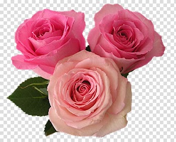 Heart Flower Love Romance, heart transparent background PNG clipart