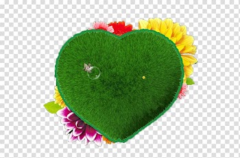Heart Green, Heart green grass transparent background PNG clipart
