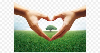 Heart Hand Gesture - Heart-shaped gesture 