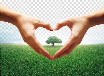 Heart Hand Gesture, Heart-shaped gesture transparent background PNG clipart