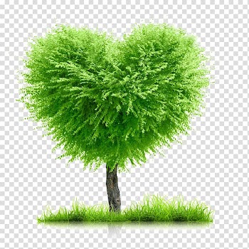 Heart Love, bamboo transparent background PNG clipart