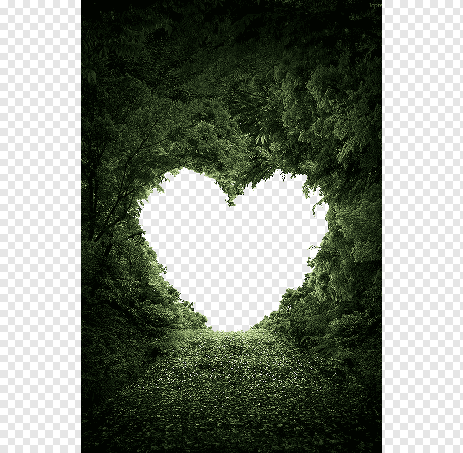 Heart Nature Valentine's Day Love, Love, heart-shape cutout trees, leaf, landscape, computer Wallpaper png
