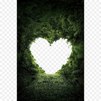 Heart Nature Valentine's Day Love Wallpaper - Love 