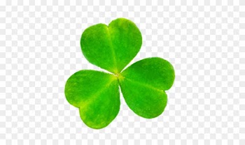 Heart Of Shamrock, Leaf Of Shamrock For St - Shamrock