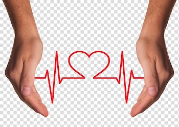 Heart rate diagram between person hands, Health Care Chronic condition Disease Asthma, Hands Holding Red Heart with ECG line transparent background PNG clipart