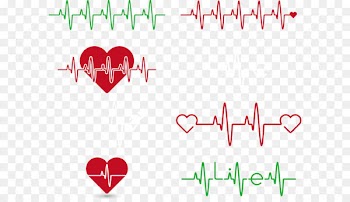 Heart rate Electrocardiography - ECG lines Creative 