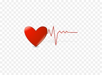 Heart rate Electrocardiography - Vector heart beat 