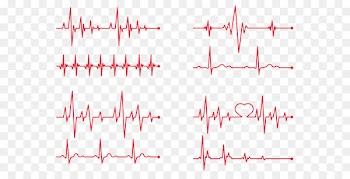 Heart rate Electrocardiography - Vector red heart beat 