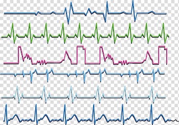 Heart rate Euclidean , Colorful heart rate transparent background PNG clipart