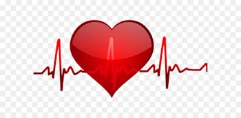 Heart rate Pulse Clip art - Heart beat 