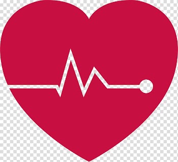 Heart Red Biology, Red heart transparent background PNG clipart