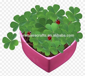 Heart Shape Bio Pot Bamboo Pot Green Flower Pot With - Flowerpot