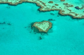Heart shape coral reef scenery, | Free Photo - rawpixel