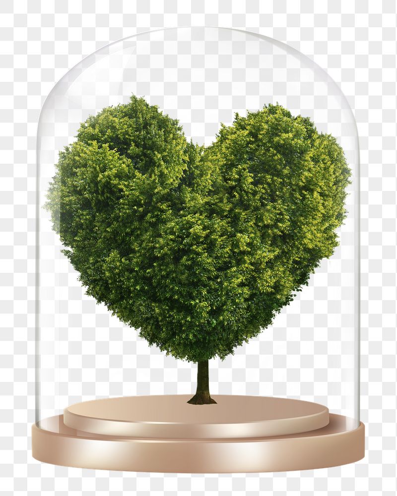 Heart shape tree png glass | Free PNG - rawpixel