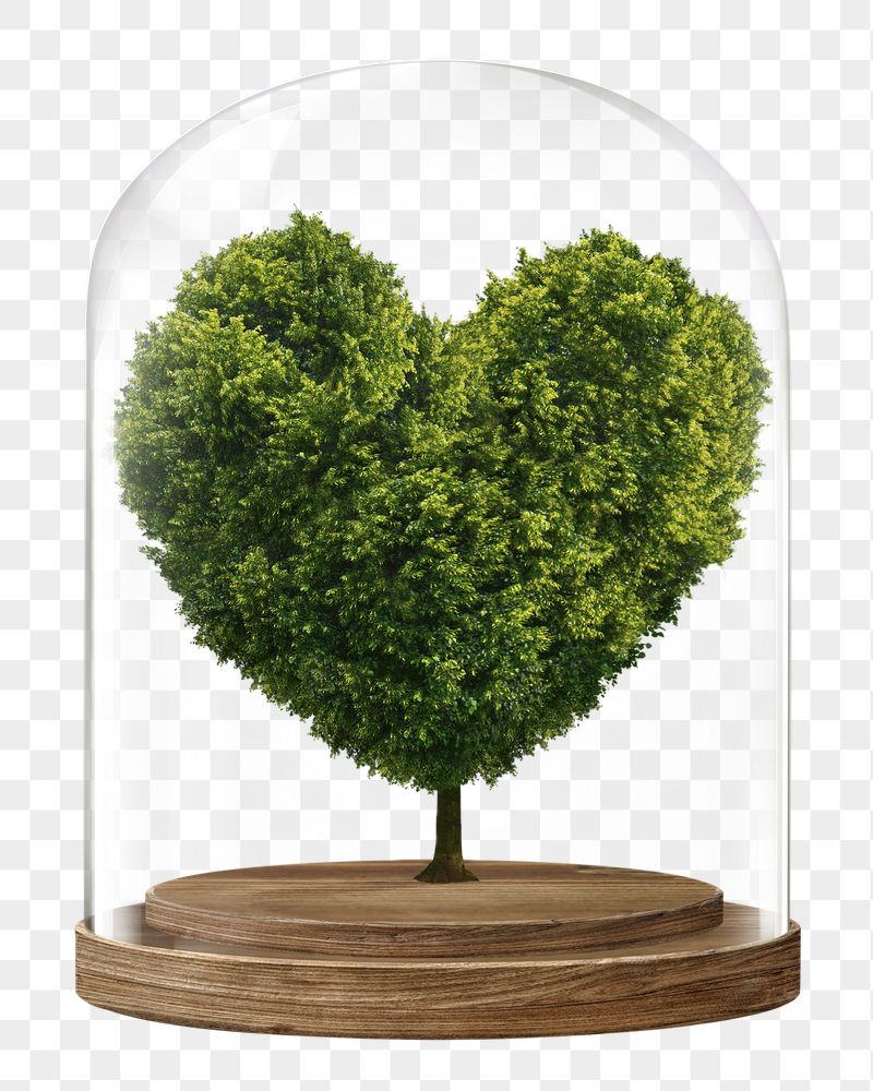 Heart shape tree png glass | Free PNG - rawpixel