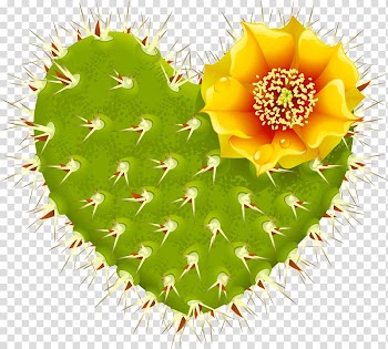 Heart-shaped green cactus with yellow flower , Cactaceae Heart Barbary fig Thorns, spines, and prickles, Cactus plant transparent background PNG clipart