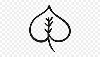 Heart Shaped Leaf Vector - Heart Shaped Leaf Vector