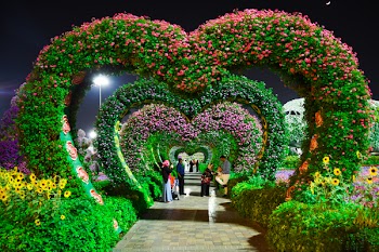 Heart-shaped Pink and Purple Flower Garden