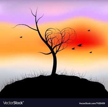 Heart shaped tree vector image