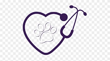 Heart Stethoscope Svg