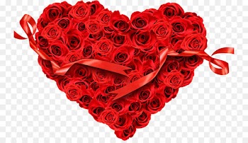 Heart Stock photography Rose Flower Valentine's Day - heart 