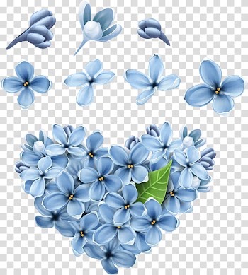 , heart transparent background PNG clipart