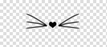 , heart transparent background PNG clipart