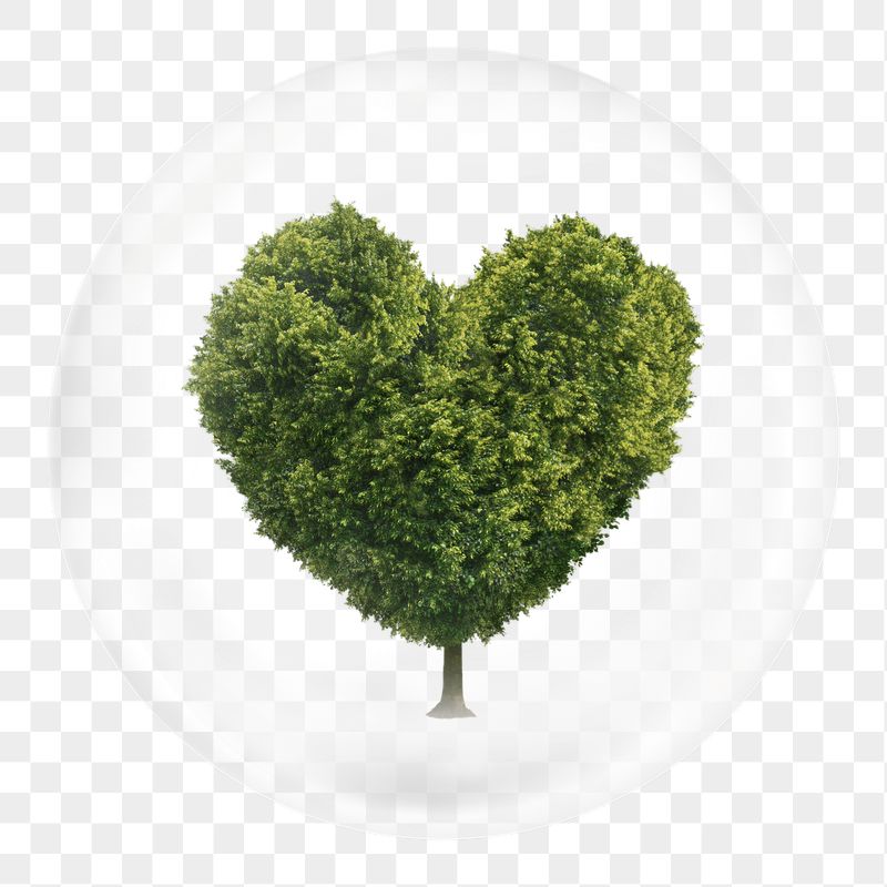 Heart tree png bubble sticker, | Free PNG - rawpixel