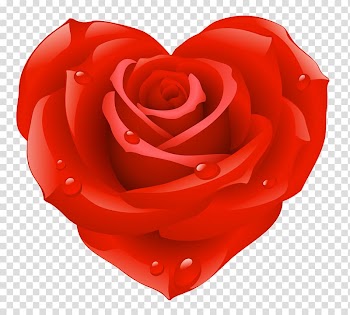 Heart Valentines Day Rose , Red Rose Heart transparent background PNG clipart