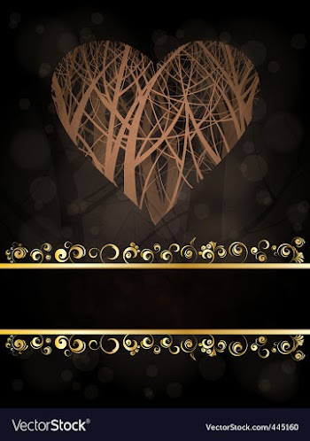 Heart vector image