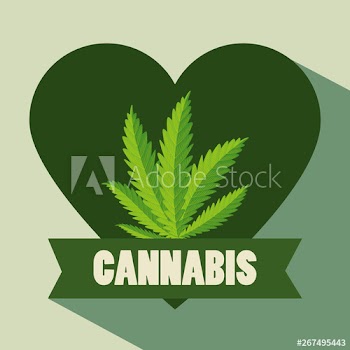 heart with nature cannabis medicine plant and ribbon