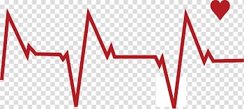 Heartbeat , Heart rate Pulse Euclidean , Heart beat transparent background PNG clipart