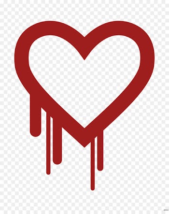 Heartbleed Vulnerability Software bug Computer security OpenSSL - cra insignia 