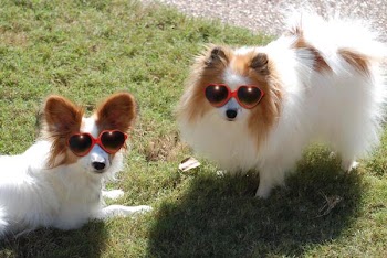 heartSunglasses.jpg