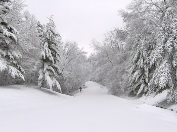 heavy_snow1.jpg