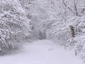 heavy_snow3.jpg