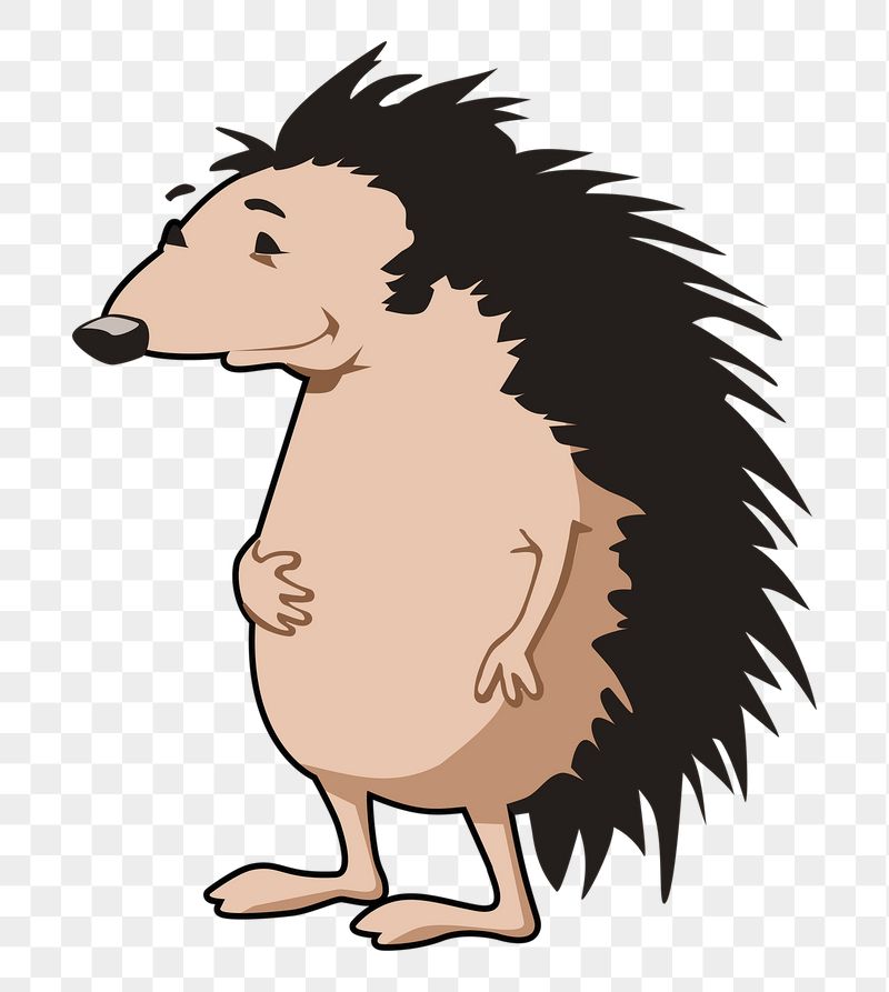 Hedgehog cartoon png sticker, transparent | Free PNG - rawpixel