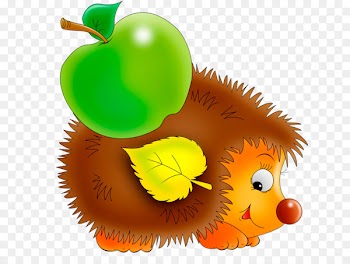 Hedgehog, Domesticated Hedgehog, Cartoon, Caterpillar, Plant PNG