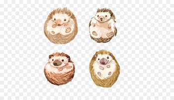 Hedgehog Dongsuwon Sageori Cat-like Naver Blog - Hedgehog hand painting material picture 