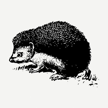 Hedgehog drawing, animal vintage illustration | Free PSD - rawpixel