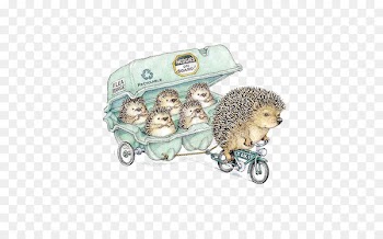 Hedgehog Drawing Birthday Greeting card Illustration - Hedgehog 