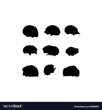 hedgehog set creative design