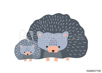 Hedgehog with baby isolated on white background