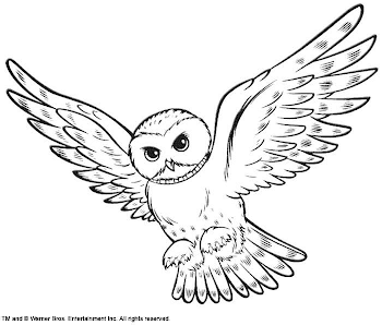 Hedwig clipart » Clipart Station