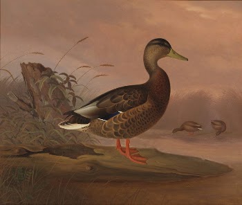 Heinäsorsa, 1848, by Ferdinand von | Free Photo - rawpixel