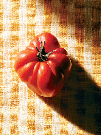 Heirloom Tomato on Striped Canvas