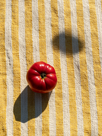 Heirloom Tomato on Striped Fabric