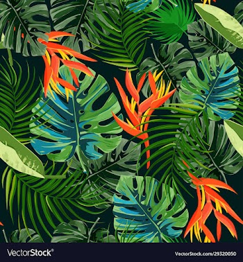 heliconia and strelizia flowers