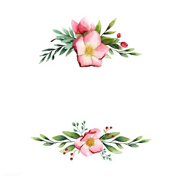 Hellebore flower frame painted by watercolor .. | Free stock vector - 489438